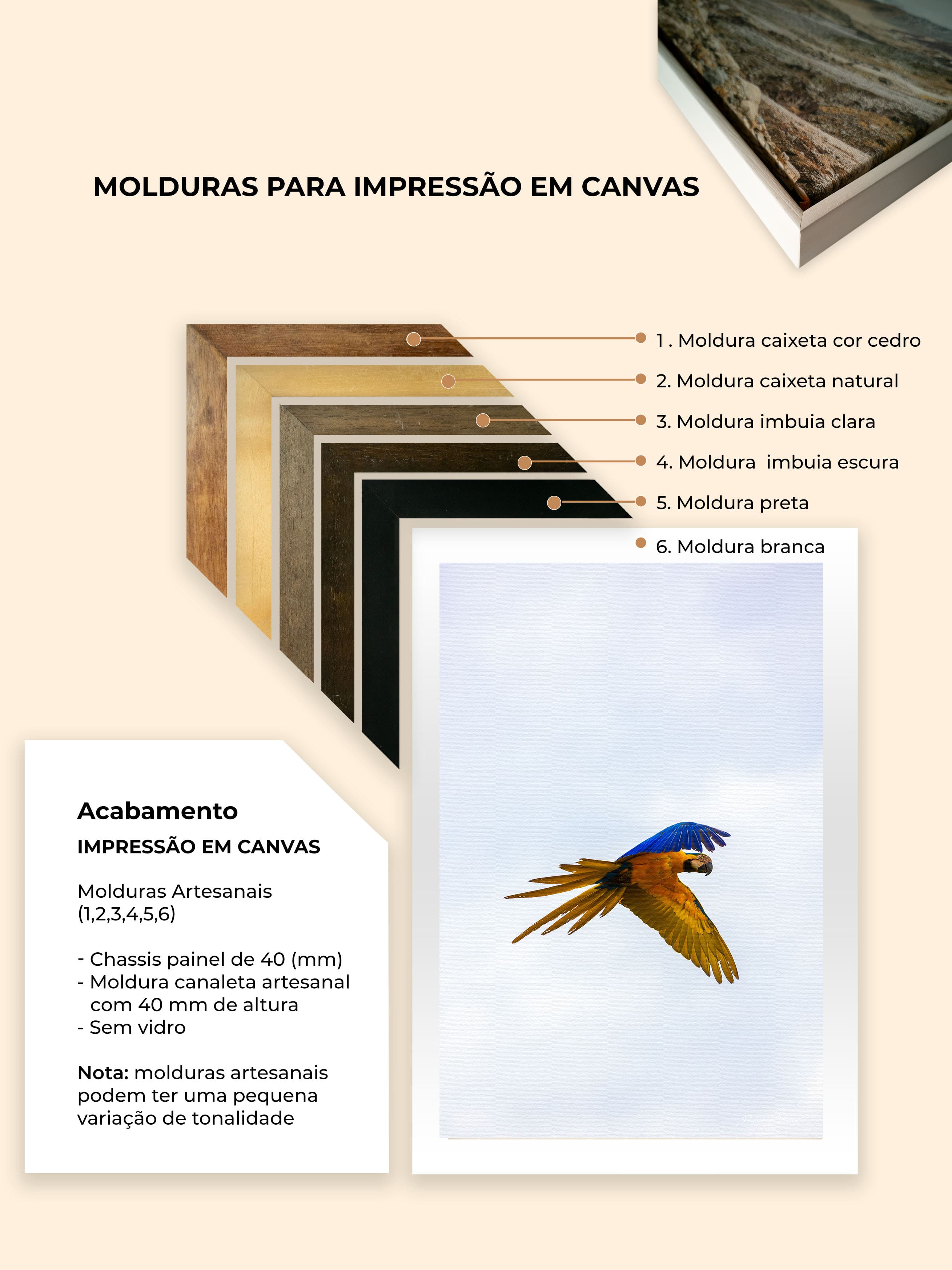 Quadro decorativo de arara canindé voando